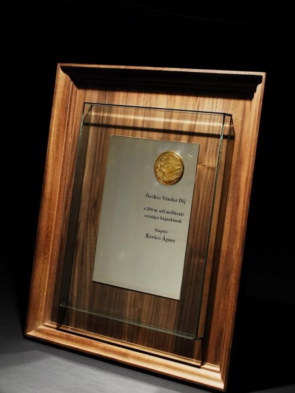 perpetual challenge-award WOOD FRAME